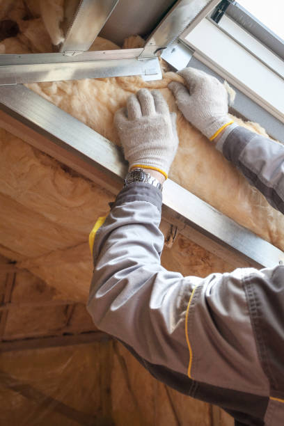 Insulation Inspection Services in Lake Pocotopaug, CT