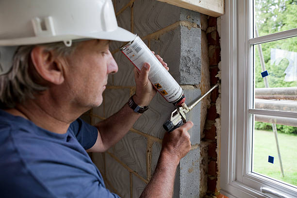 Best Home Insulation Services  in Lake Pocotopaug, CT