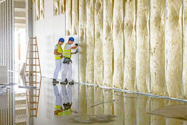 Best Insulation Replacement Services  in Lake Pocotopaug, CT